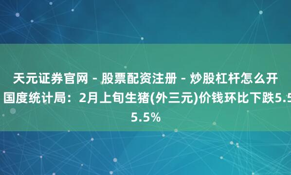 天元证券官网 - 股票配资注册 - 炒股杠杆怎么开户 国度统计局：2月上旬生猪(外三元)价钱环比下跌5.5%