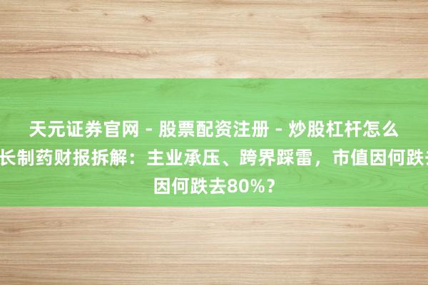 天元证券官网 - 股票配资注册 - 炒股杠杆怎么开户 步长制药财报拆解:主业承压、跨界踩雷,市值因何跌去80%?
