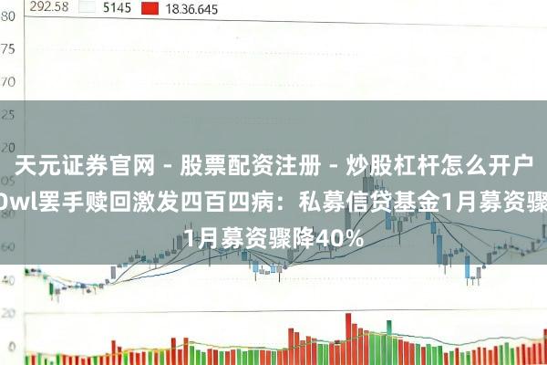 天元证券官网 - 股票配资注册 - 炒股杠杆怎么开户 Blue Owl罢手赎回激发四百四病：私募信贷基金1月募资骤降40%