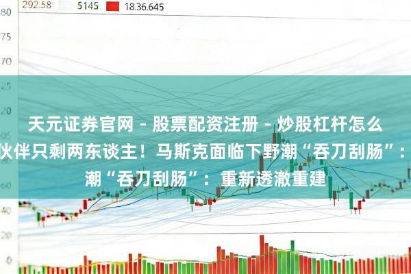 天元证券官网 - 股票配资注册 - 炒股杠杆怎么开户 xAI独创伙伴只剩两东谈主!马斯克面临下野潮“吞刀刮肠”:重新透澈重建