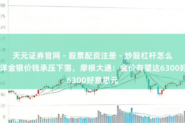 天元证券官网 - 股票配资注册 - 炒股杠杆怎么开户 外洋金银价钱承压下落,摩根大通:金价有望达6300好意思元
