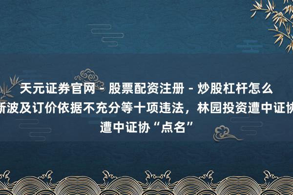天元证券官网 - 股票配资注册 - 炒股杠杆怎么开户 打新波及订价依据不充分等十项违法，林园投资遭中证协“点名”