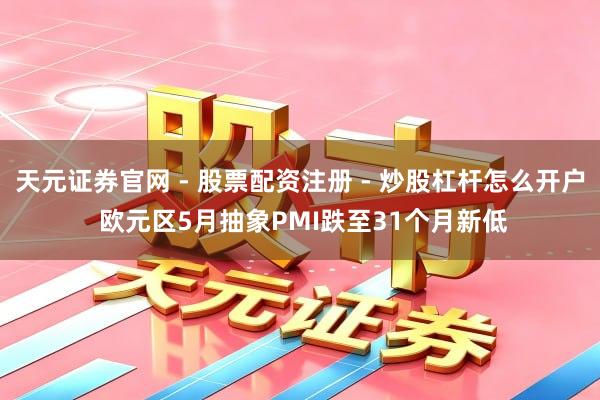 天元证券官网 - 股票配资注册 - 炒股杠杆怎么开户 欧元区5月抽象PMI跌至31个月新低