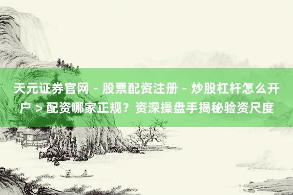 天元证券官网 - 股票配资注册 - 炒股杠杆怎么开户 > 配资哪家正规？资深操盘手揭秘验资尺度